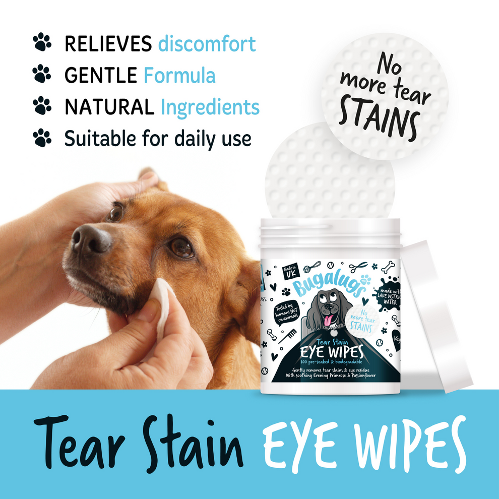 Eye Wipes | Augnþurrkur (100stk í pakka) (væntanlegt)