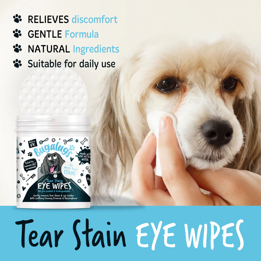 Eye Wipes | Augnþurrkur (100stk í pakka) (væntanlegt)