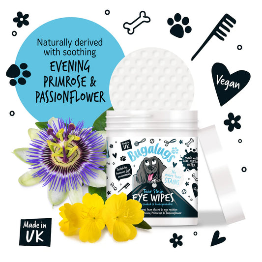 Eye Wipes | Augnþurrkur (100stk í pakka) (væntanlegt)
