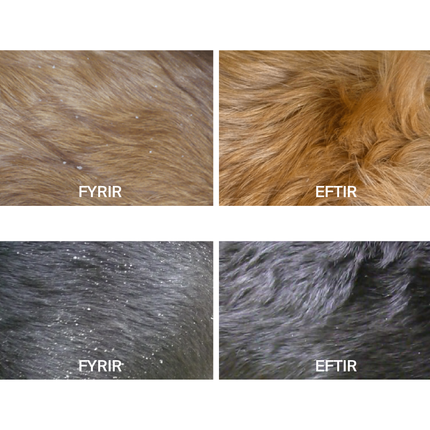 Dermoscent – Essential 6® húðolía