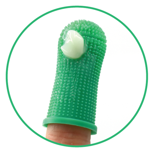Dental Care Kit | Tannburstasett - Ensímtannkrem og fingrabursti