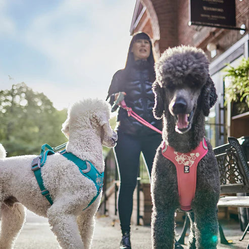 Weekend Warrior Beisli - Ruby