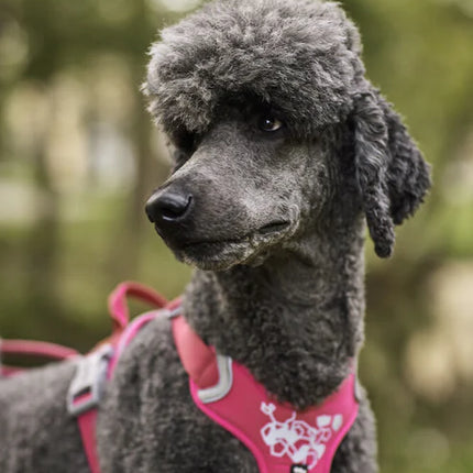 Weekend Warrior Beisli - Ruby