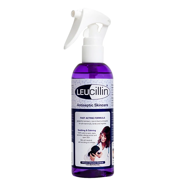 Leucillin Antiseptic Sáravökvi 150ml Sprey