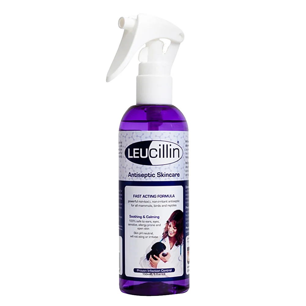 Leucillin Antiseptic Sáravökvi 150ml Sprey