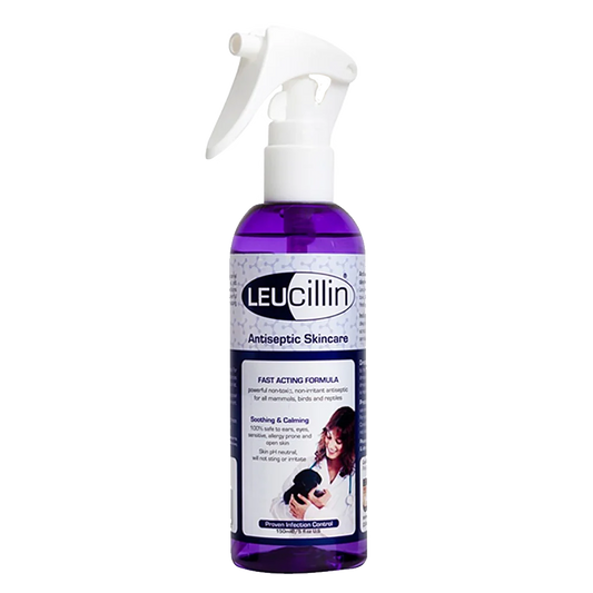 Leucillin Antiseptic Sáravökvi 150ml Sprey