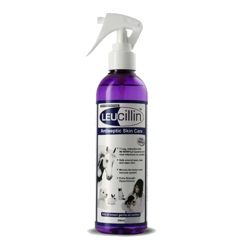 Leucillin Antiseptic Sáravökvi 250ml Sprey