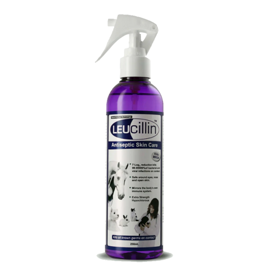 Leucillin Antiseptic Sáravökvi 250ml Sprey