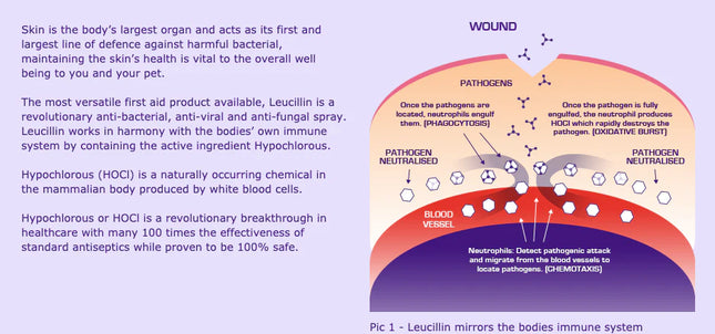 Leucillin Antiseptic Sáravökvi 150ml Sprey