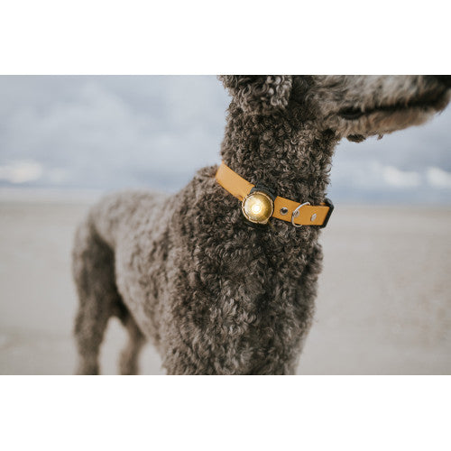 Orbiloc Dog Dual
