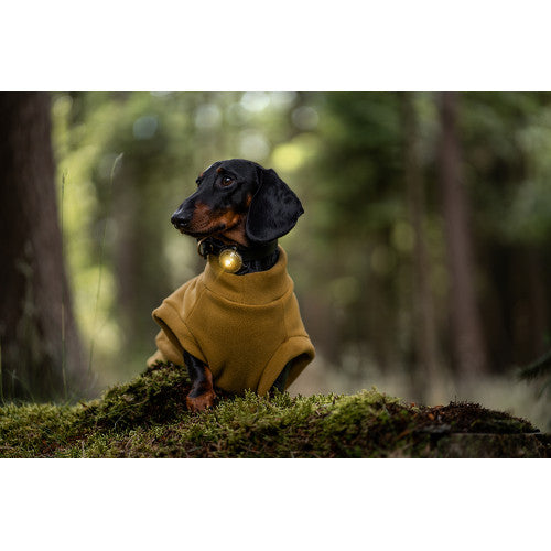 Orbiloc Dog Dual