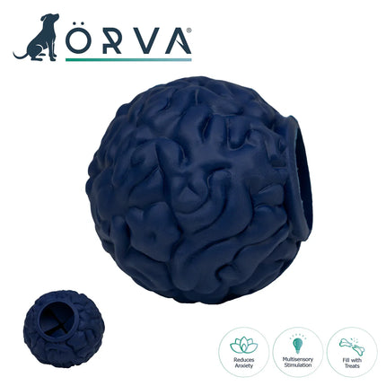 Örva Brain Bolti