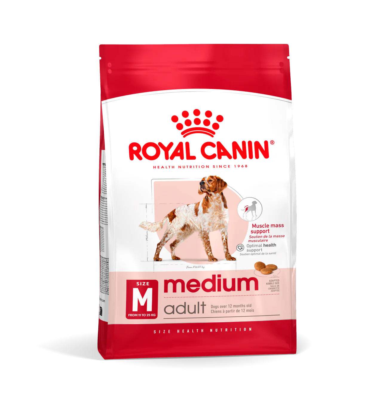 Medium Adult