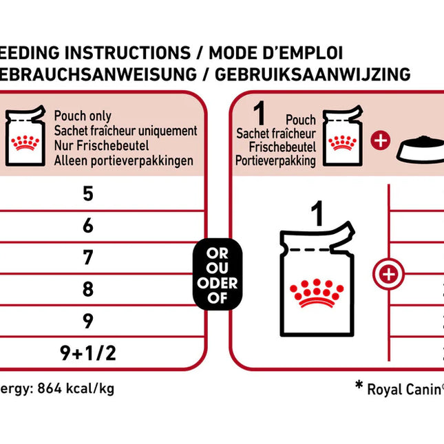 Medium Adult Blautfóður