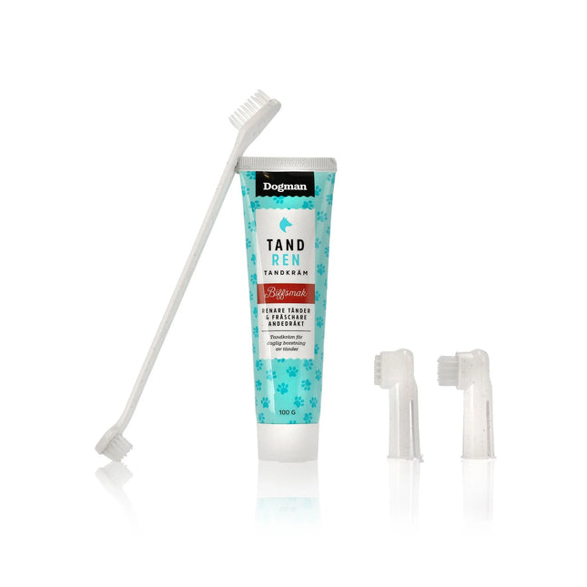 Tannbustasett með Nautakjötsbragði