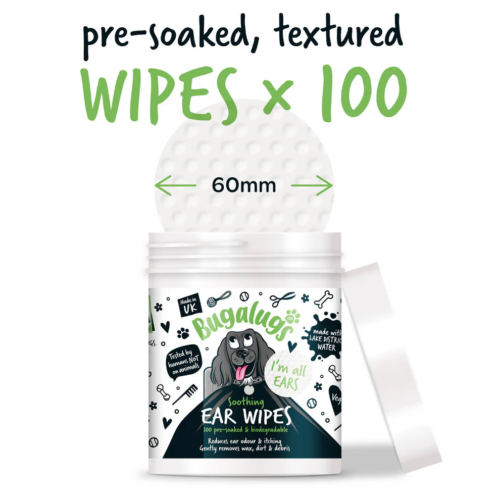 Ear Wipes | Eyrnaþurrkur (100stk í pakka)