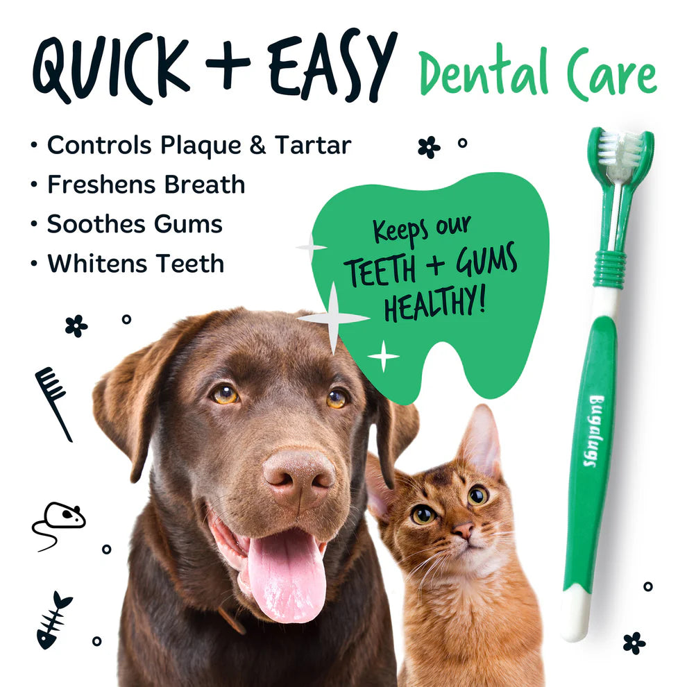 Triple Headed Toothbrush | Þrefaldur tannbursti