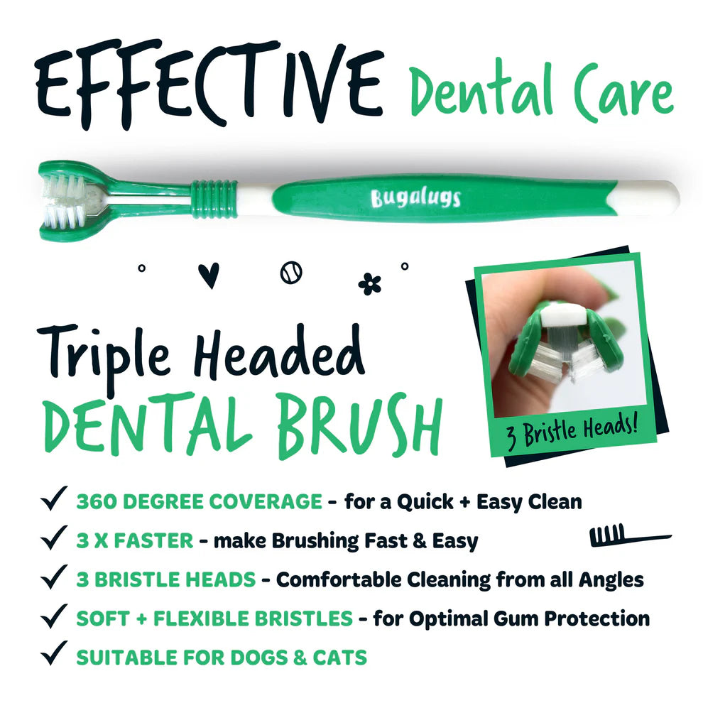 Triple Headed Toothbrush | Þrefaldur tannbursti