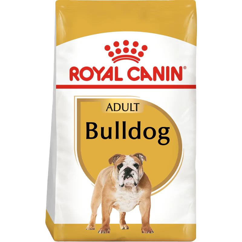 Bulldog Adult