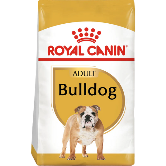 Bulldog Adult