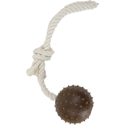 Tough Ropey Ball Tugger