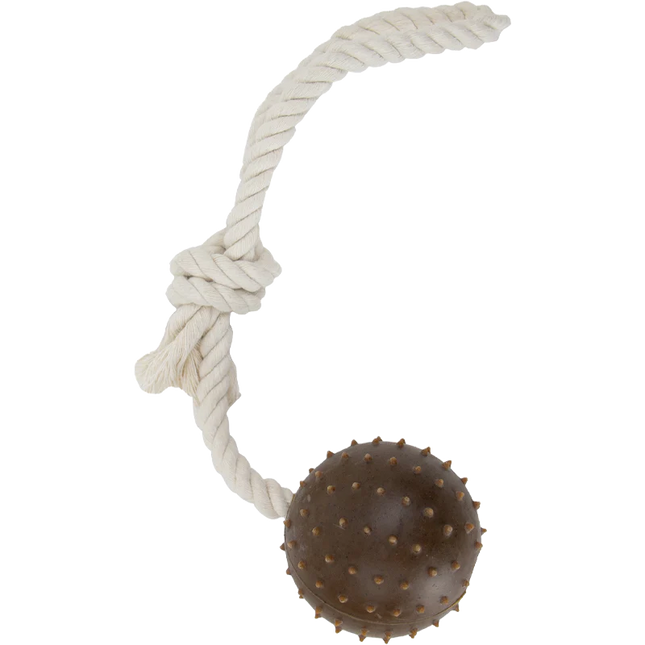 Tough Ropey Ball Tugger