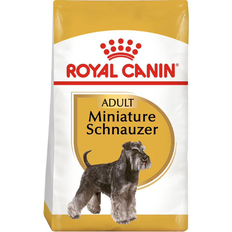 Miniature Schnauzer Adult