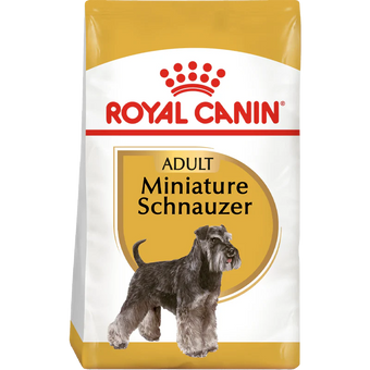 Miniature Schnauzer Adult