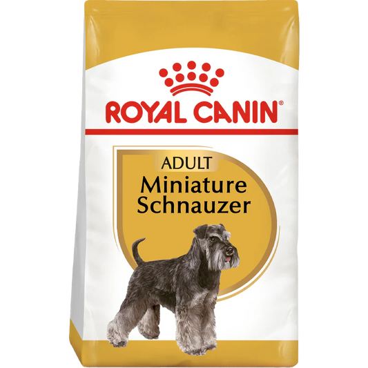 Miniature Schnauzer Adult
