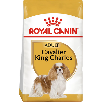 Cavalier