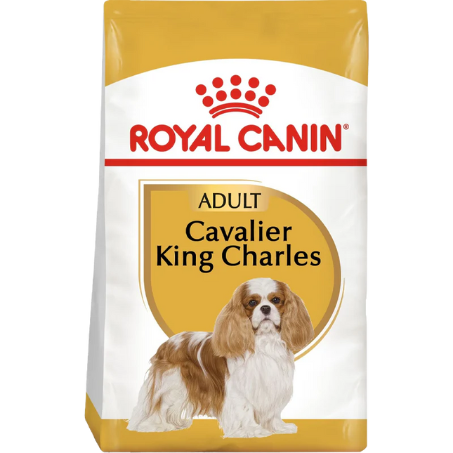 Cavalier