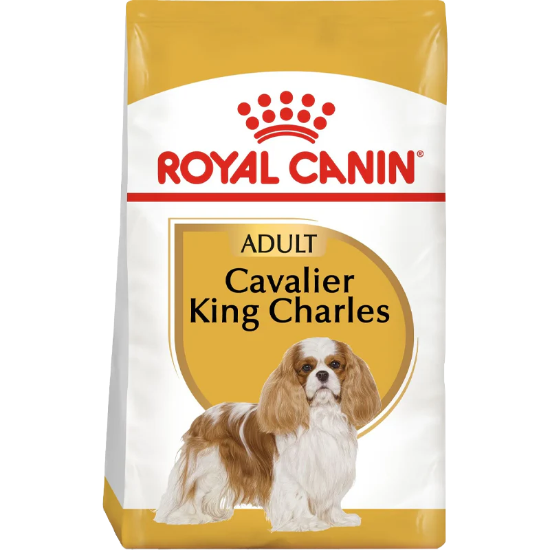 Cavalier