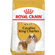 Cavalier