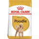 Poodle
