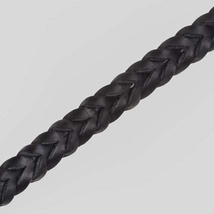 Central Park hundaól