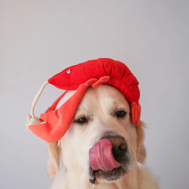 Lobster leikfang
