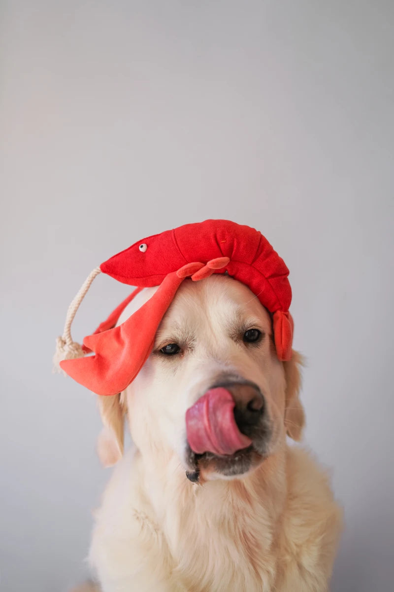 Lobster leikfang