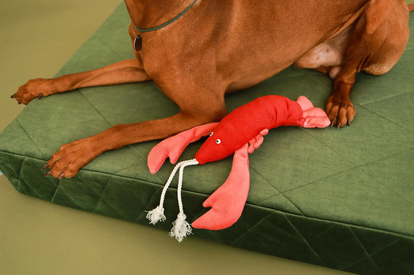 Lobster leikfang