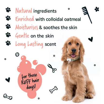 Luxory 2in1 Shampoo + Conditioner | Lúxus Sjampó og næring - Papaya & Coconut