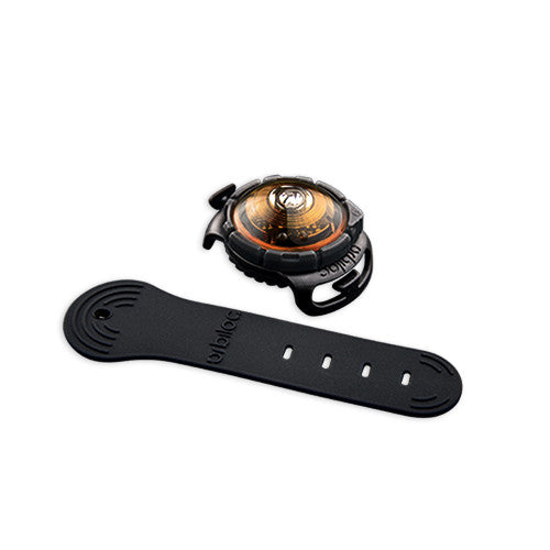 Orbiloc Dog Dual
