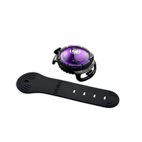 Orbiloc Dog Dual