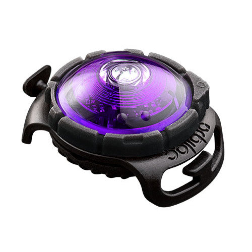 Orbiloc Dog Dual