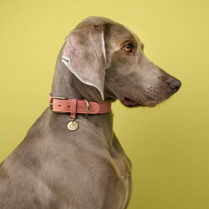 Tiergarten leðuról