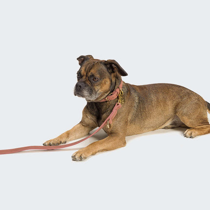 Tiergarten leðuról