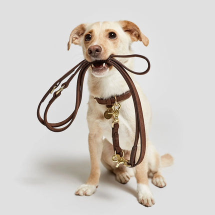 Tiergarten leðuról